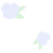 Fiore